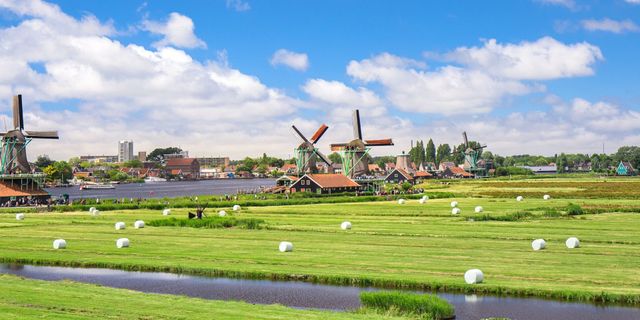 Idyllische Landschaft Niederlande