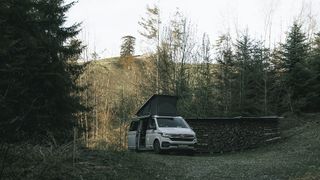 VW T6.1 in einem Wald