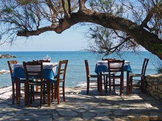 Restaurant unter Olivenbäumen am griechischen Meer