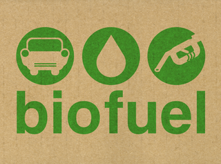 Bio Kraftstoff