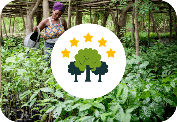 CamperBoys pflanzt pro Google Bewertung einen Baum im Projekt Togo