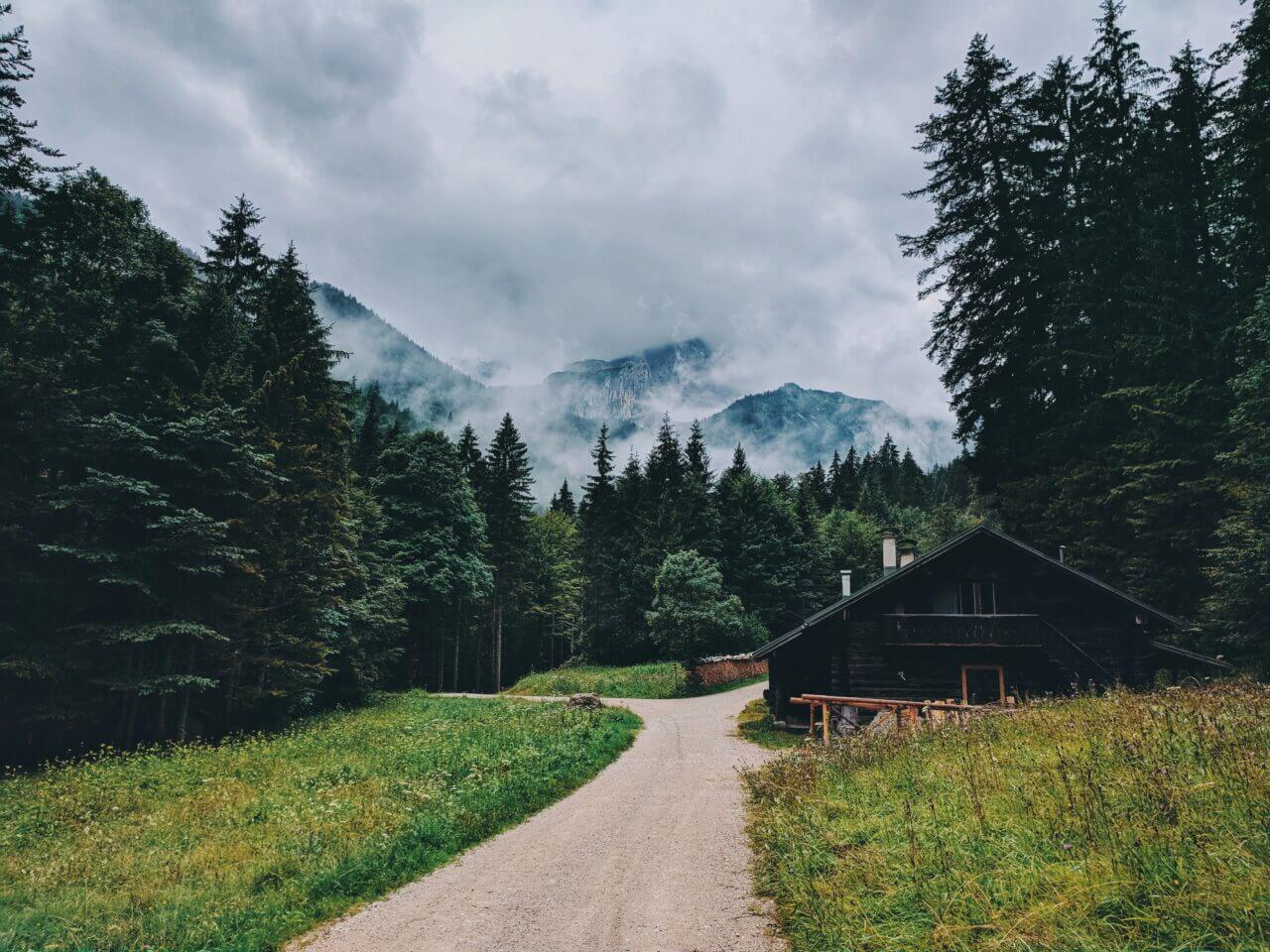 Waldweg in Deutschland mit Blick auf eine Waldhütte