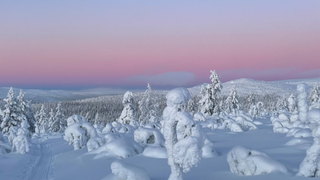 Wunderwelten aus Schnee in Schweden