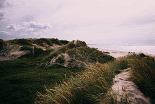 Dünenlandschaft vor Strand in Skagen in Dänemark