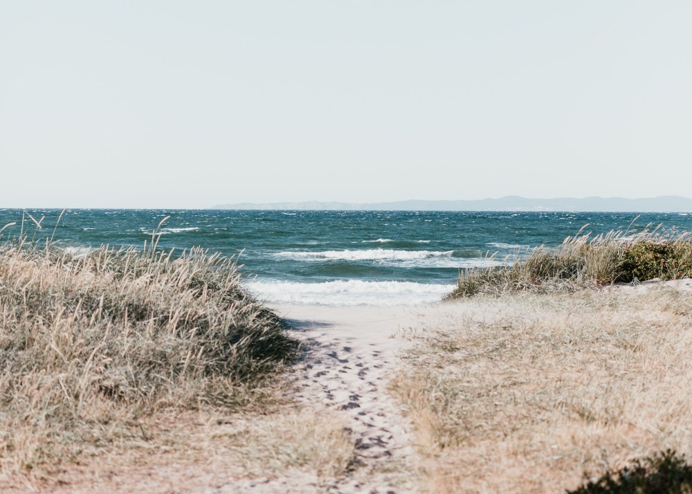 Blick auf das Meer und die Dünen von Dänemark